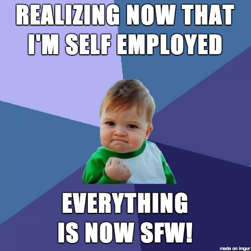 Self employed memes - success kid - Safe for work